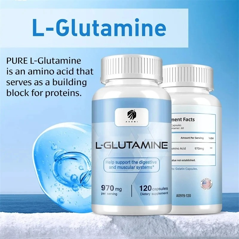 Nutrition Sports Fitness - Supplément L-Glutamine pour l'entraînement, la récupération